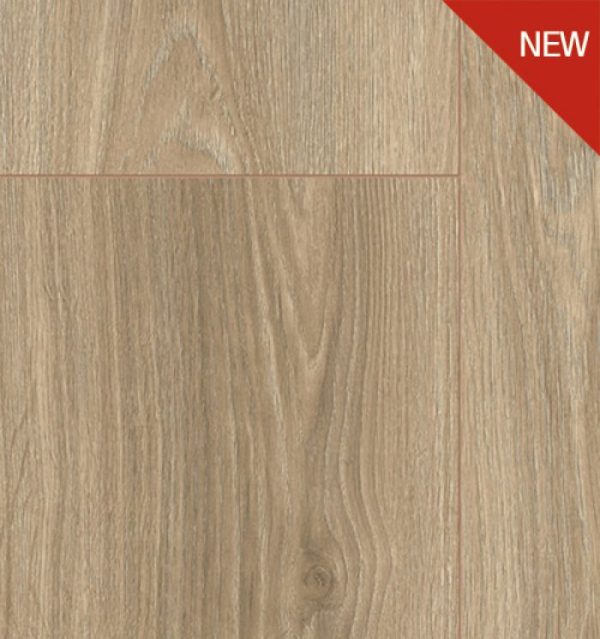 OAK 1ST 37245 AV WIDE