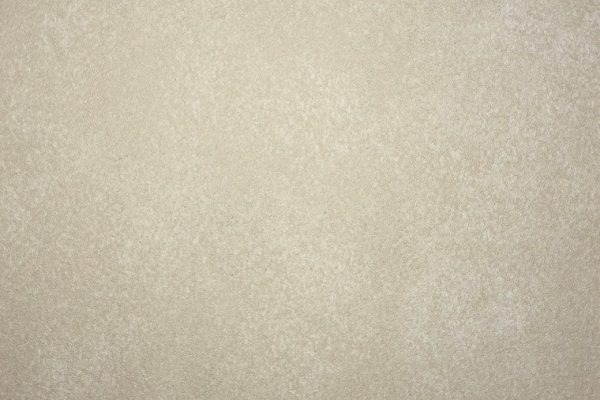 CARPENTER - Pin Point Esfumado Beige