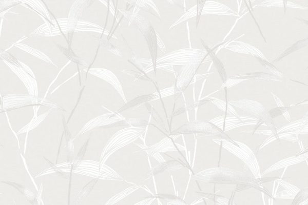 MASUREEL - Lillia - ZEN 201