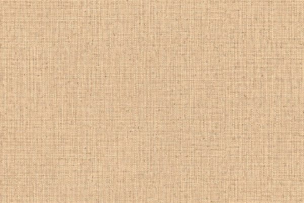 ARTE - Nongo - 49511