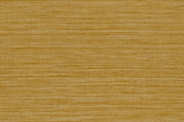 ARTE - Lignes - 40501