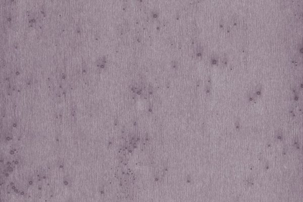 ARTE - Stellar - 37504