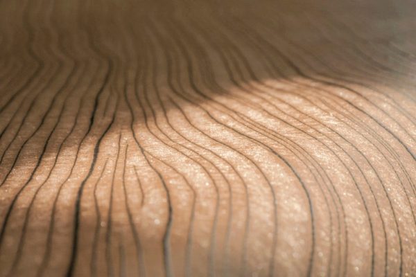 ARTE - Timber - 54040 - Imagen 2